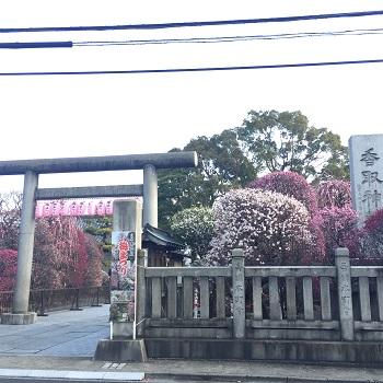 Baikoen Nuigurumi