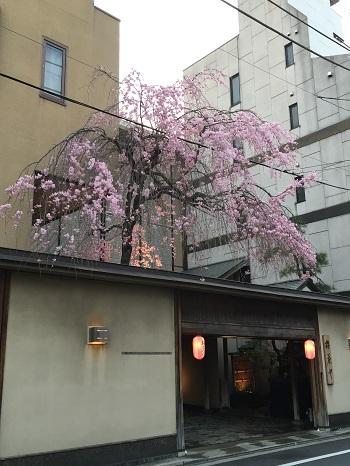 Sakurachaya OEM