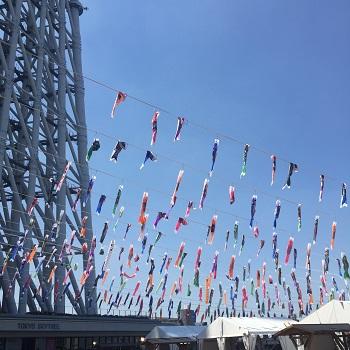 Koinobori3