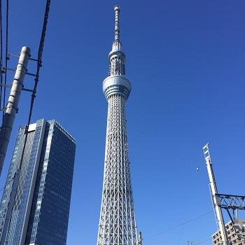 skytree oem