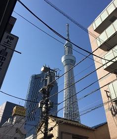 skytree office