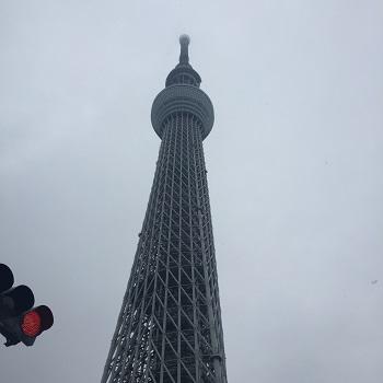 skytree snow oem