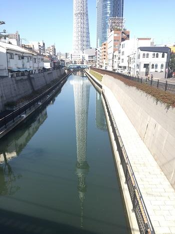 スカイツリー ぬいぐるみのブリスター