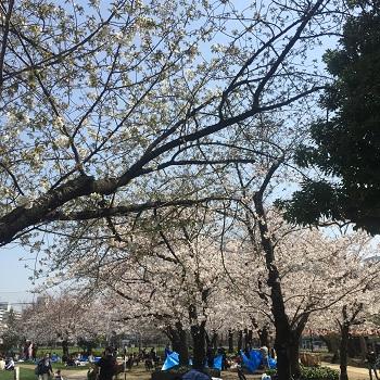 錦糸公園 ぬいぐるみのブリスター１